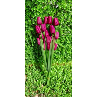 HOA TULIP VẢI