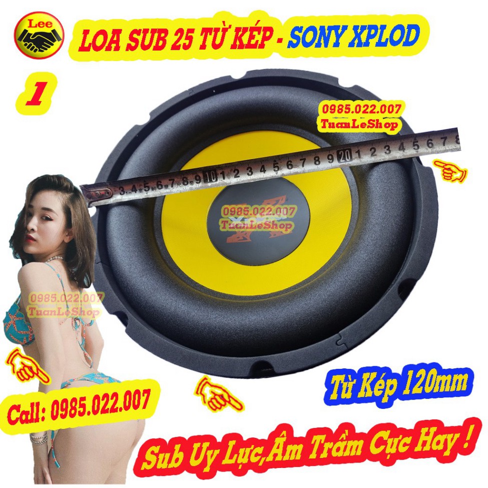 02 LOA SUB 25 MÀNG VÀNG TỪ KÉP 120 SONNY – CẶP SUB 2.5 TẤC TỪ KÉP NHẬP KHẨU MALAYSIA