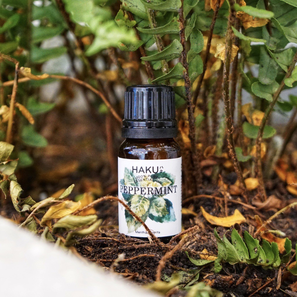 Tinh dầu Bạc Hà Peppermint