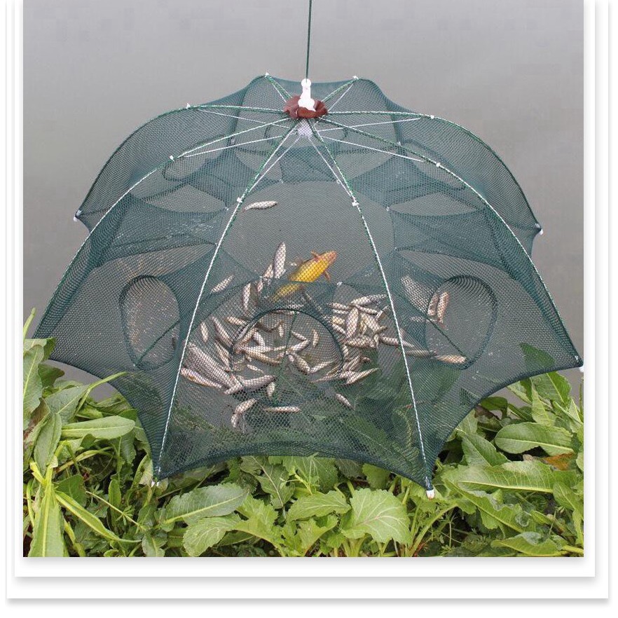 Lưới bát quái chuyên đánh bắt cá (8 lỗ)