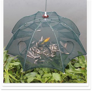 Lưới bát quái chuyên đánh bắt cá (8 lỗ)