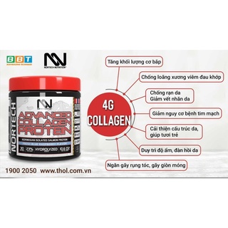 Advanced Collagen Protein