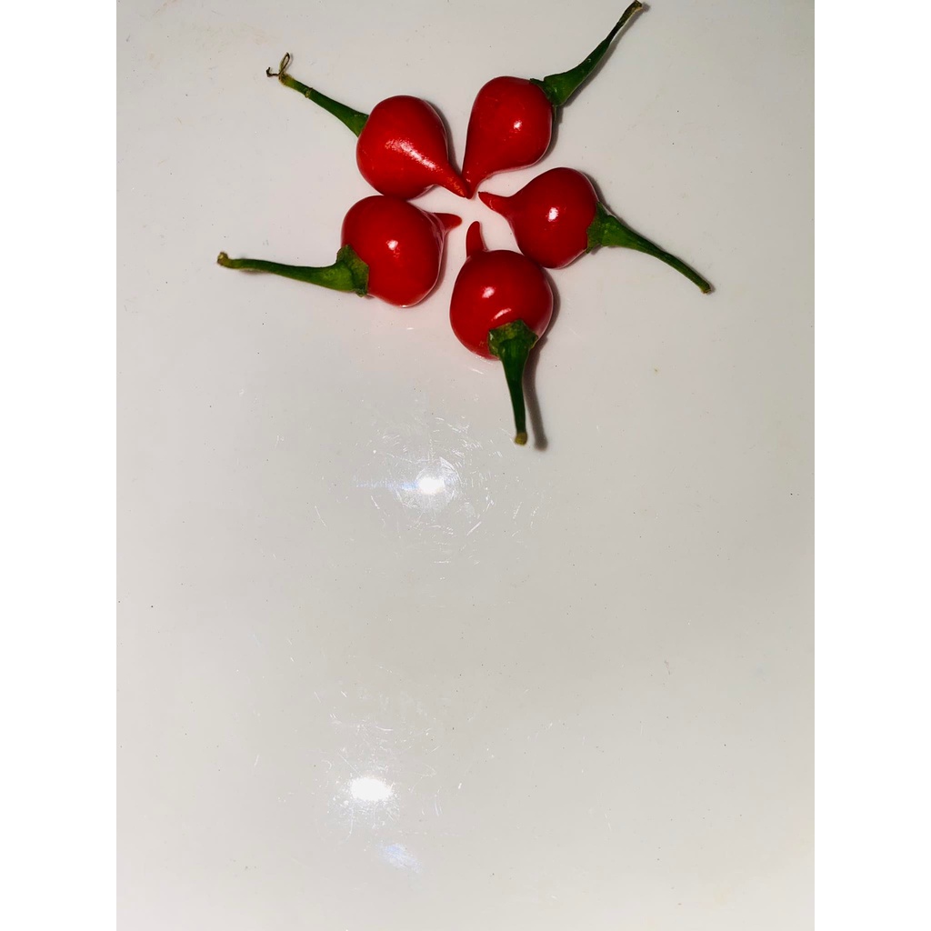 Combo 8Trái Ớt tươi Biquinho Red