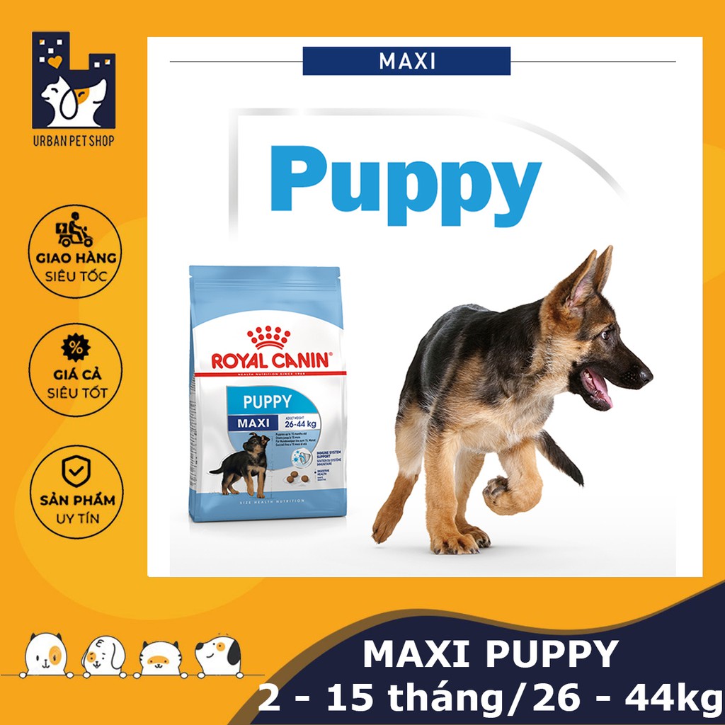 ROYAL CANIN - MAXI PUPPY [ CHÍNH HÃNG ] - Thức ăn dành cho chó từ 25-44 kg