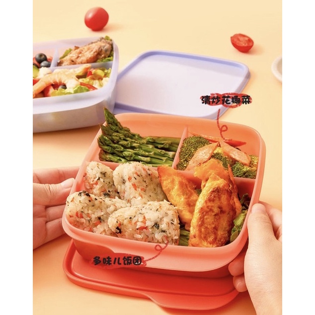 Hộp Cơm Chia Ngăn LollyTup 550ml Chính Hãng Tupperware