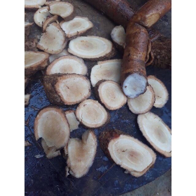 1kg Củ Gai Tươi , - An Thai ( Củ Tươi Mới Đào )