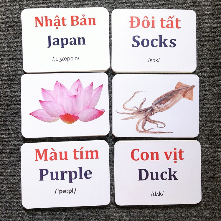 [QUÀ 0đ] Thẻ học thông minh cho bé, flashcards 16 chủ đề cho bé học song ngữ, loại chuẩn Glenn doman kích thước lớn