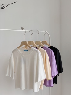 Áo phông trơn dáng ngắn AP347 1994closet