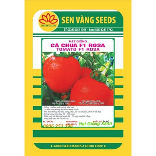Hạt giống Cà chua Rosa F1 năng suất chịu nhiệt