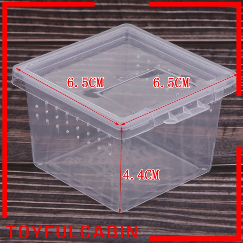 Set 10 Hộp Đựng Thức Ăn Bằng Acrylic Cho Bò Sát / Thằn Lằn / Bò Sát