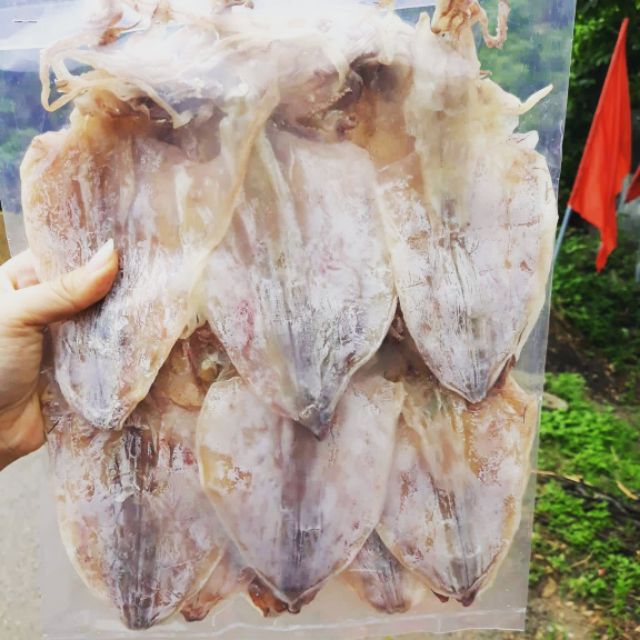 [FREESHIP 99K TOÀN QUỐC]Mực size 50c/kí