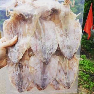 Mực size 50c/kí