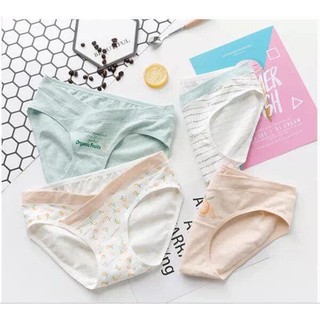 (giá công phá)Combo 4 quần lót bầu cotton loại 1