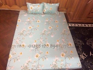 Bộ ga gối Poly