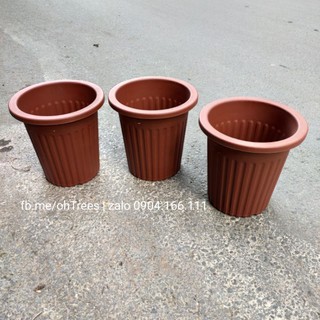 Combo 5 chậu nhựa trồng cây size 18x18cm