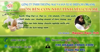 Dầu Tỏi Diệp Chi Gold +