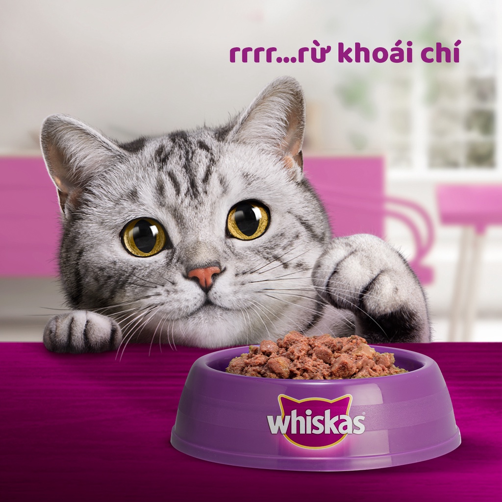 Bộ 24 Túi Thức Ăn Dạng Sốt Cho Mèo Trưởng Thành WHISKAS Mix 2 Vị 80G