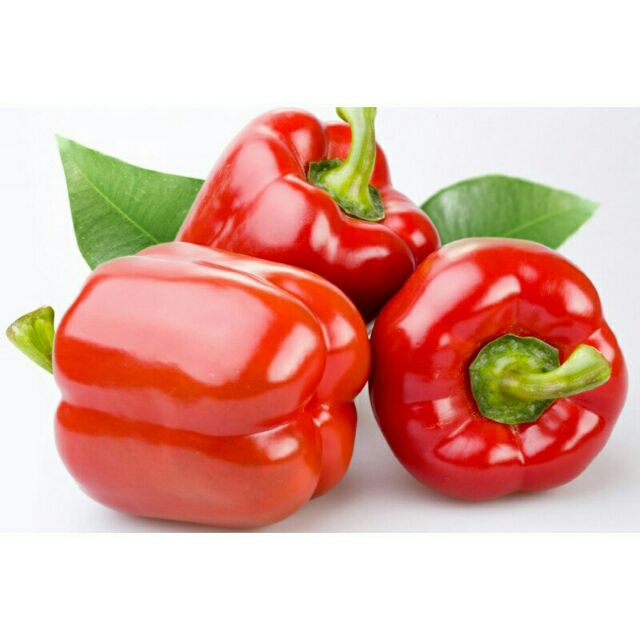 Hạt Giống Ớt Chuông Đỏ Ngọt (300 Hạt) - Ngọt ,Thơm, Giàu Vitamin - MUA 3 TẶNG 1 CÙNG LOẠI