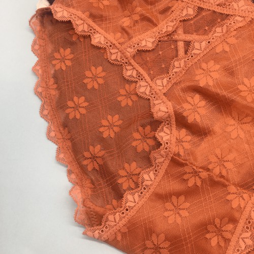 Quần lót ren đẹp mông 90cm đến 95cm , đồ lót lưới nữ không gian eva KGE