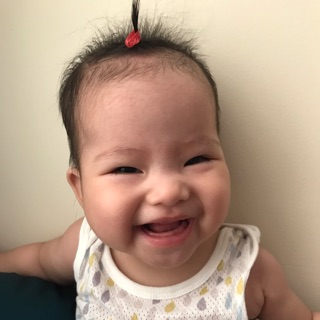 thuc-an-cho-meo