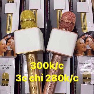 Mic hát kèm loa sd-08