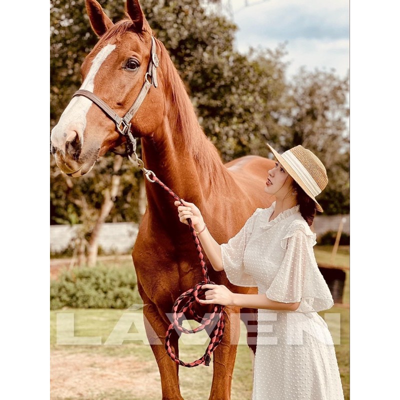 ĐẦM BI CỘT NƠ LƯNG TRẮNG - ĐEN - ĐỎ | BigBuy360 - bigbuy360.vn