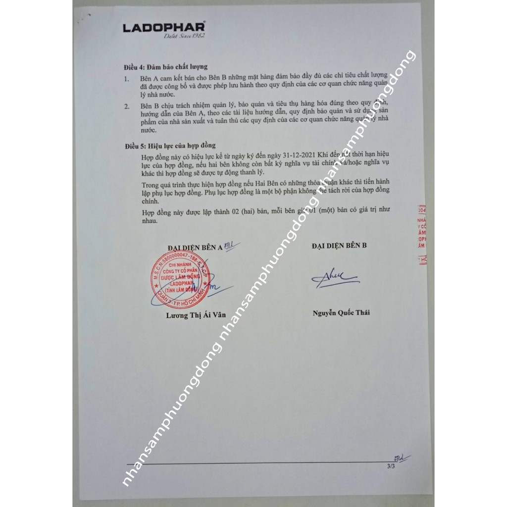 Trà Atiso Ladophar Hộp 100 túi lọc Đặc Sản Trà Actiso Đà Lạt món quà sức khỏe từ thiên nhiên Nhân Sâm Phương Đông nspd . | BigBuy360 - bigbuy360.vn