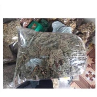 Cây lá hen khô 1KG (Cây bồng bồng)
