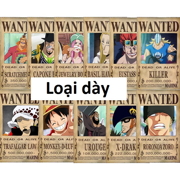 Bộ 11 tấm truy nã 11 siêu tân tinh Onepiece wanted poster size A4, A5, A6