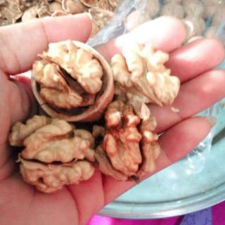 Nhân óc chó chín 1kg