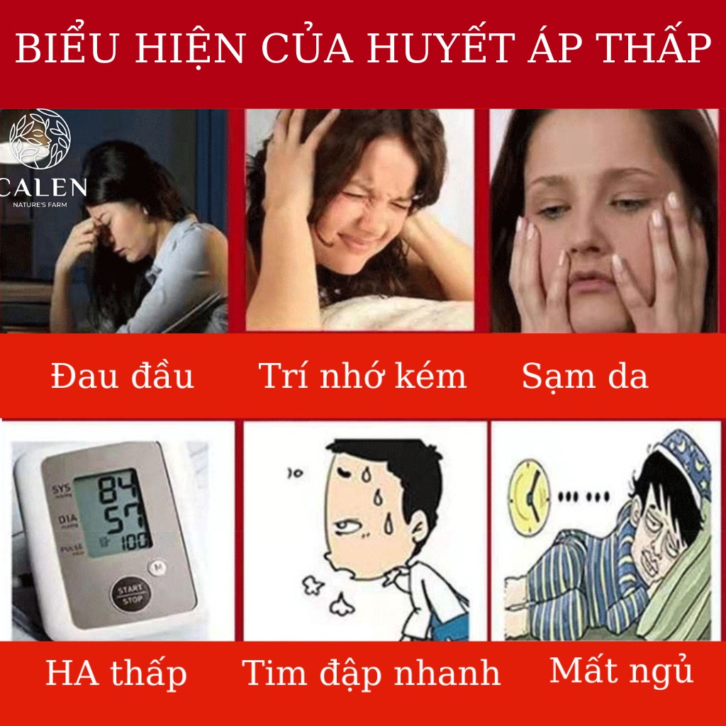 Trà Huyết Áp Thấp CALEN, Giúp Điều Hòa Huyết Áp Giảm Tình Trạng Đau Đầu Chóng Mặt, Ăn Ngon Ngủ Ngon