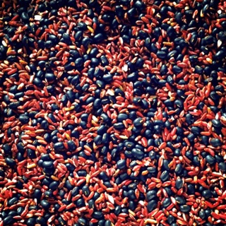 Trà gạo lức đậu đen xanh lòng