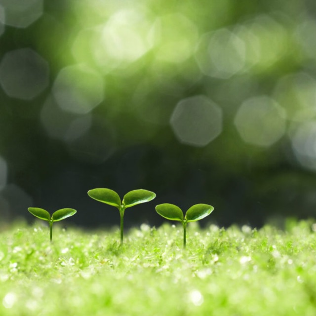 Phụ kiện tóc 2012