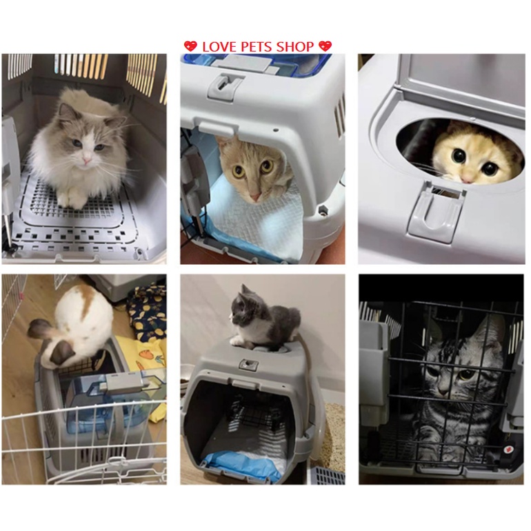 LỒNG VẬN CHUYỂN CHÓ MÈO ĐƯỜNG HÀNG KHÔNG, ĐƯỜNG TÀU -  LOVE PETS SHOP
