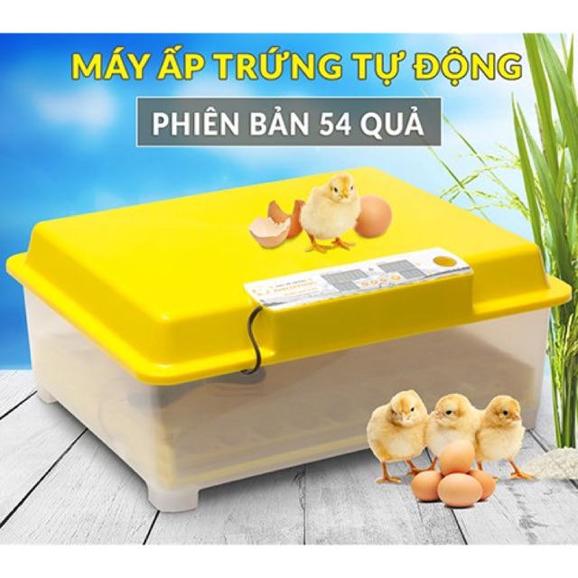 Máy ấp trứng Ánh Dương A100-ấp tối đa 60 trứng gà hàng chính hãng