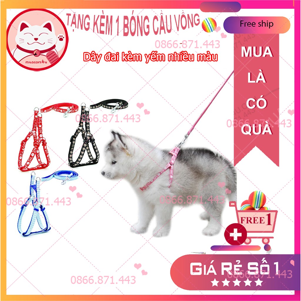 Dây dắt kèm yếm 2 lớp dày dặn ⚡𝐅𝐑𝐄𝐄𝐒𝐇𝐈𝐏⚡ Dây dắt chó mèo