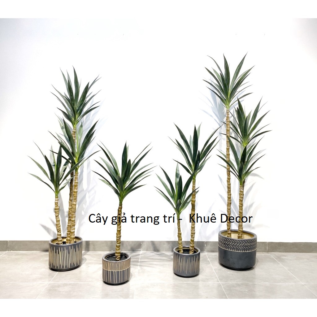 Cây Phát Tài Núi - Cây Giả - Hàng Chuẩn cao cấp
