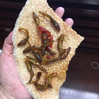 Cá bống sông trà