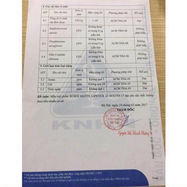 Son Roses Chính Hãng FULL 9 Màu