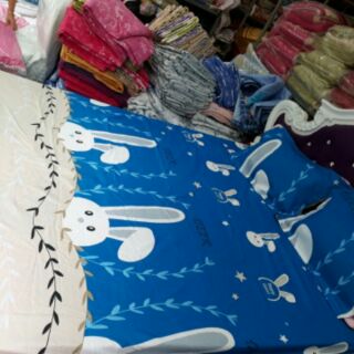 Combo 2 bộ ga gối cotton poly