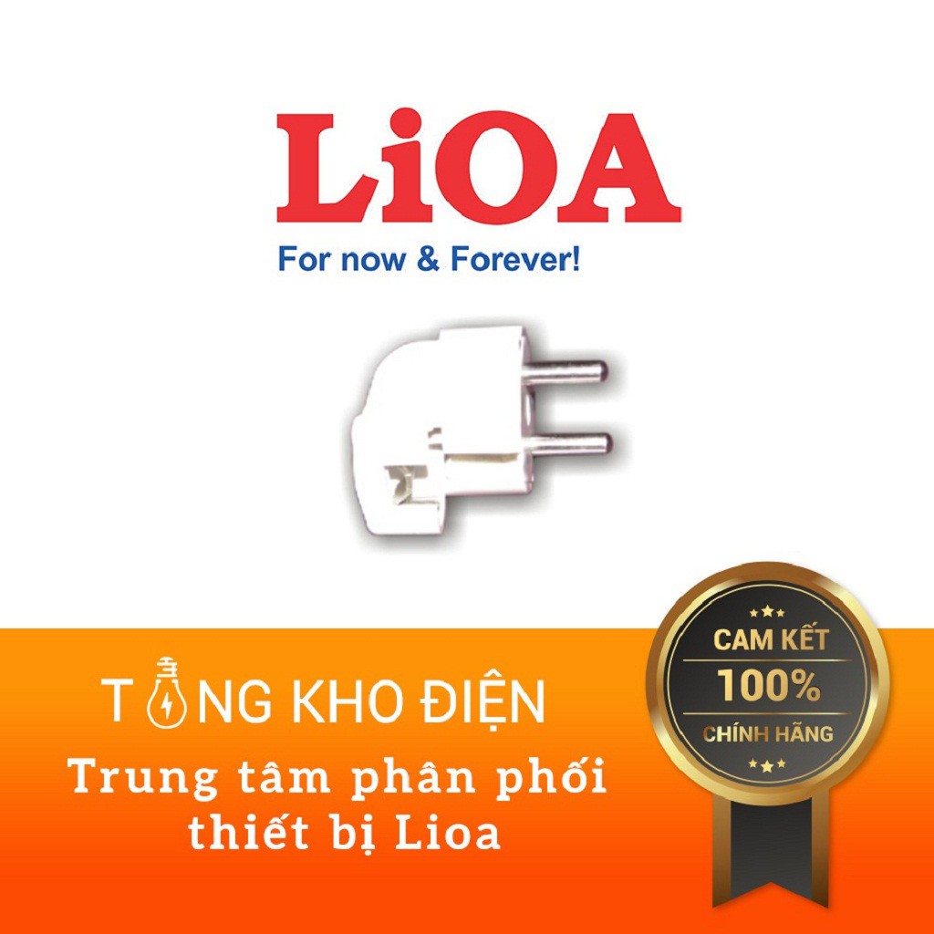 Phích Cắm Tiêu Chuẩn Châu Âu LIOA EURF5