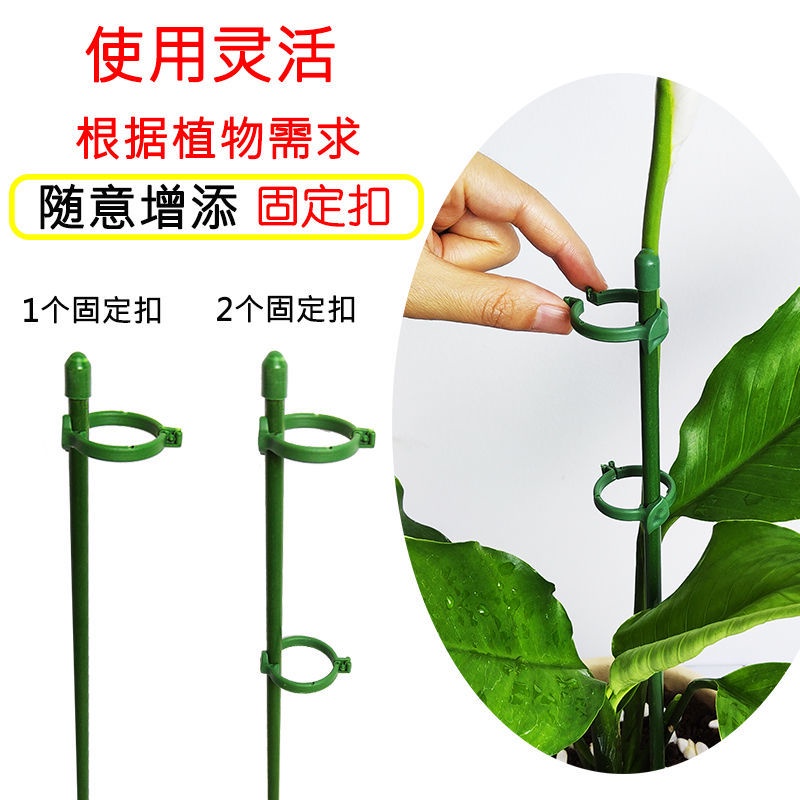 Giá Đỡ Hỗ Trợ Cây Leo Chống Đứt Tiện Dụng Cho Sân Vườn / Ngoài Trời