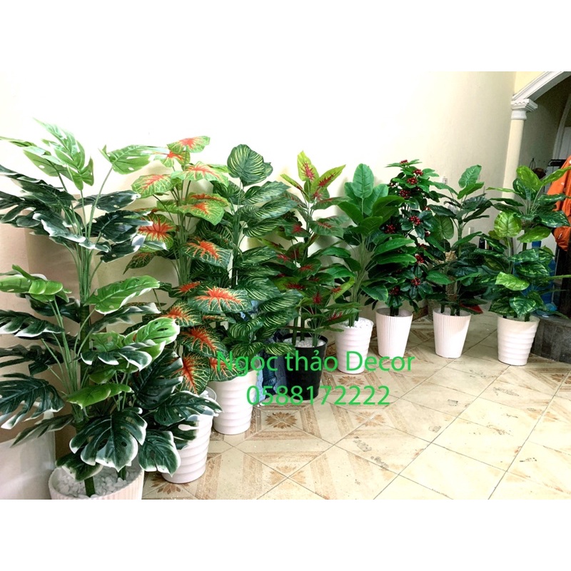Cây trầu bà giả 1m2 - Cây lá rùa giả, cây giả trang trí