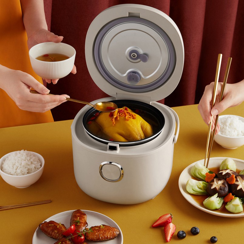 Nồi Cơm Điện Mini Dung Tích 2L DFB-P20H1, Hàng Chính Hãng Bear