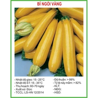 [Rẻ Vô Địch] Hạt Giống Bí ngòi vàng 10 Hạt (golden seed)