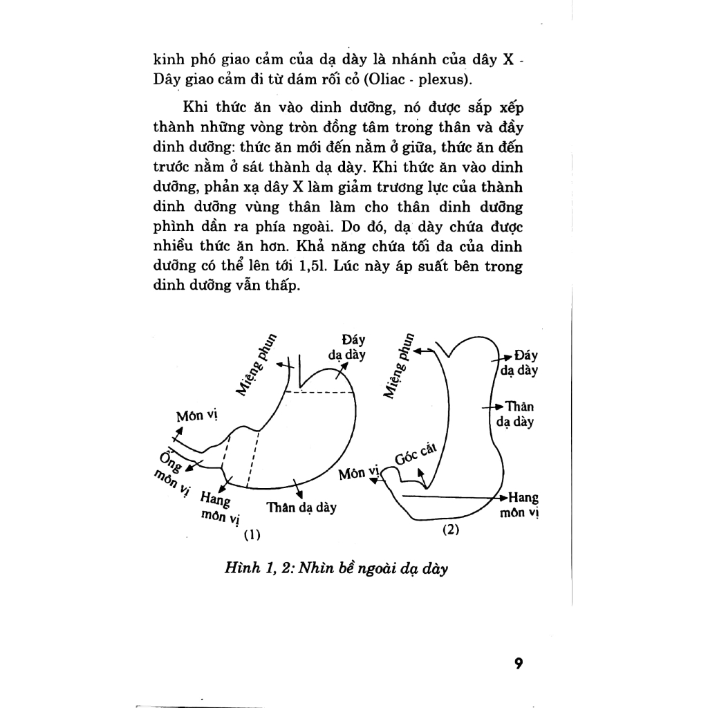 Sách - Các Phương Pháp Chữa Trị - Bệnh Dạ Dày