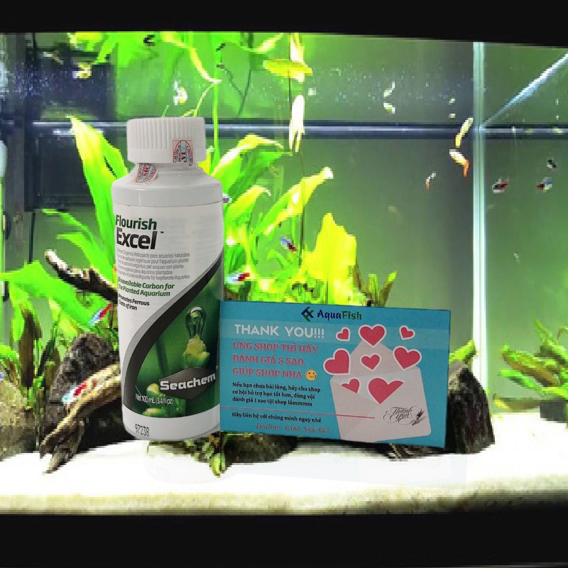 Dung Dịch Diệt Rêu Và Ức Chế Rêu Hại Excel 500ml, 250ml, 100ml Giúp Nước Bể Cá Trong Sạch