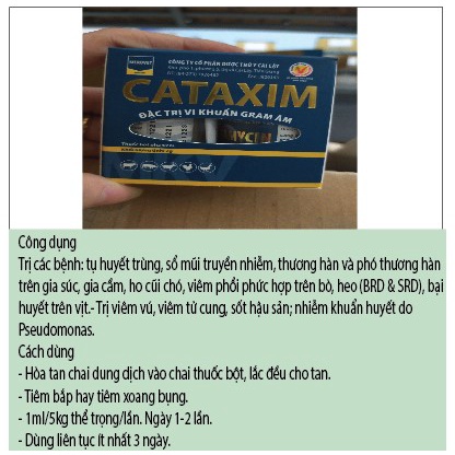 [Giá tốt] Cataxim 20ml mũi nhiễm, thương hàn và phó thương hàn  Bổ sung vitamin và dinh dưỡng