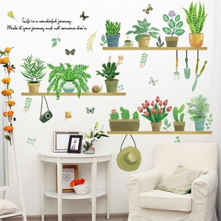 Decal dán tường: 3 kệ chậu cây cảnh