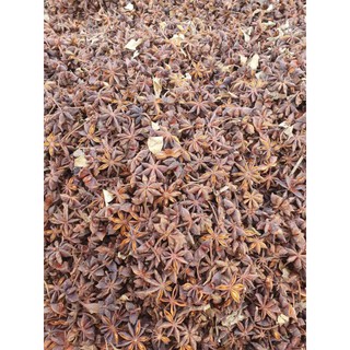 hoa hồi lạng sơn